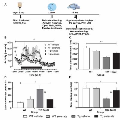 Chronic Sodium Selenate Treatment Restores Deficits in Cognition and Synaptic Plasticity in a Murine Model of Tauopathy